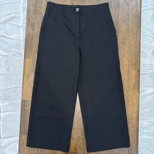 Ann Taylor Petite Black‎ Ankle Pants | Women’s 4P